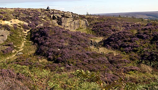 The Cleveland Hills The Cleveland Hills