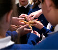 Link to View the pictures of Bringing science to life in schools.