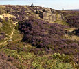 Link to The Cleveland Hills .