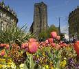 Link to Harrogate.