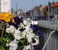 Yarm. Link to .