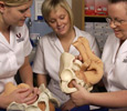 Midwifery. Link to Midwifery.