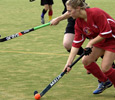 Astroturf Pitch. Link to Astroturf Pitch.