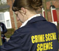 Crime Scene. Link to Crime Scene.