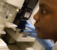 Forensic Genetics. Link to Forensic Genetics.