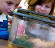 Saltburn Primary School