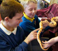 Saltburn Primary School