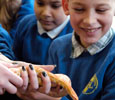 Newport Primary School