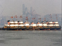 Seahorses: Tees Tugs c. 1965 Seahorses: Tees Tugs c. 1965