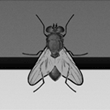 DigitalCity logo. This is an external website. The link to 3Fly-Design will open in a new window.