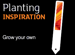 Planting inspiration: Grow your own