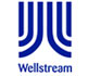 Wellstream International Limited
