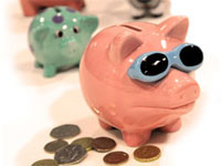 Money box pig