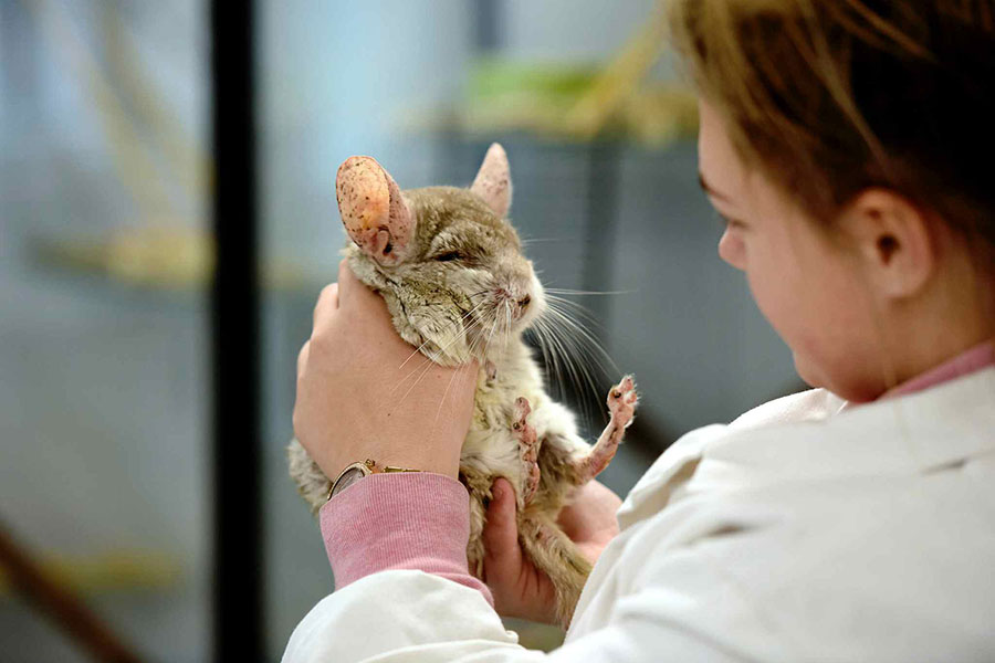 Animal Science and Welfare BSc (Hons) course | Teesside University Animal Science and Welfare BSc (Hons) course | Teesside University