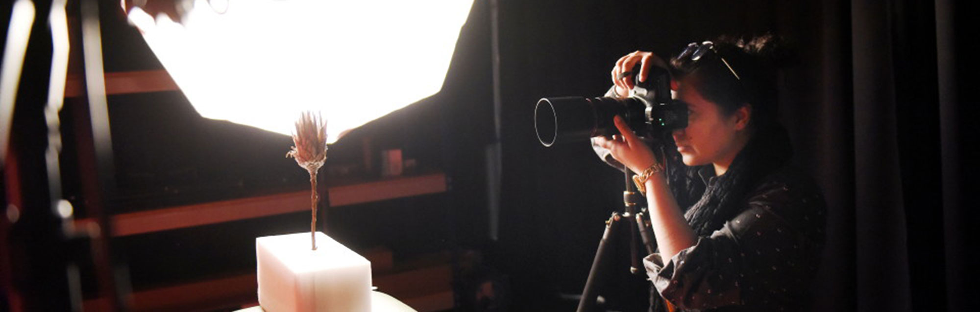 Genres in Photography
