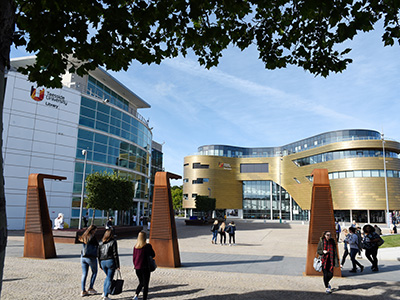 Link to University will take the lead on Tees Valley Global Centre of Excellence.