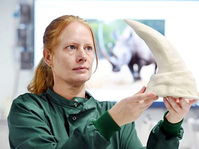 Dr Desiré Dalton, who will present the second of Teesside University’s Spotlight series. Link to Wildlife expert puts Teesside University research in the spotlight.