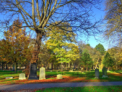 Linthorpe Cemetery, photographed on a sunny day. Photo courtesy of FOLCNR.. Linthorpe Cemetery, photographed on a sunny day. Photo courtesy of FOLCNR.. Link to Do Good, Feel Good - Friends of Linthorpe Cemetery and Nature Reserve volunteering day, Wed 16 July.