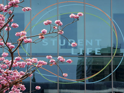 An image of the Student Life logo with pink blossom in the foreground. An image of the Student Life logo with pink blossom in the foreground. Link to Be Safe: Bite-size talks, Monday 27 October.