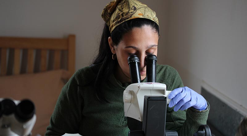 Research team. Link to A complex crab invasion carries parasites to Argentina.