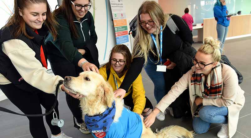 Students meeting Brengle the Therapy Dog