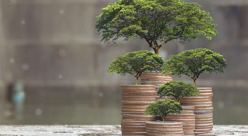 Sustainability and the future of finance