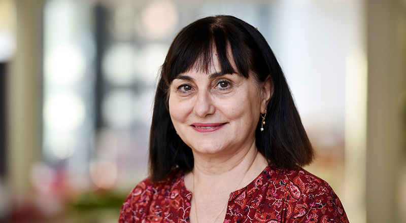 Professor Chrisina Jayne, Dean of the School of Computing, Engineering & Digital Technologies