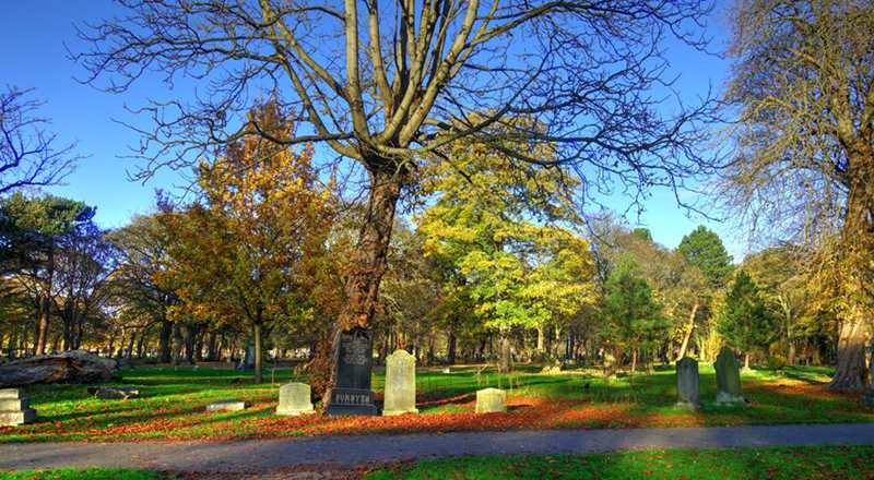 Linthorpe Cemetery, photographed on a sunny day.  Photo courtesy of FOLCNR.. Link to Linthorpe Cemetery, photographed on a sunny day.  Photo courtesy of FOLCNR..