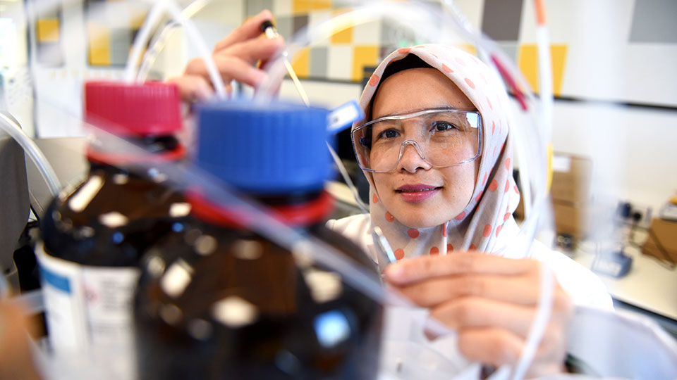 Student working in a NHC lab