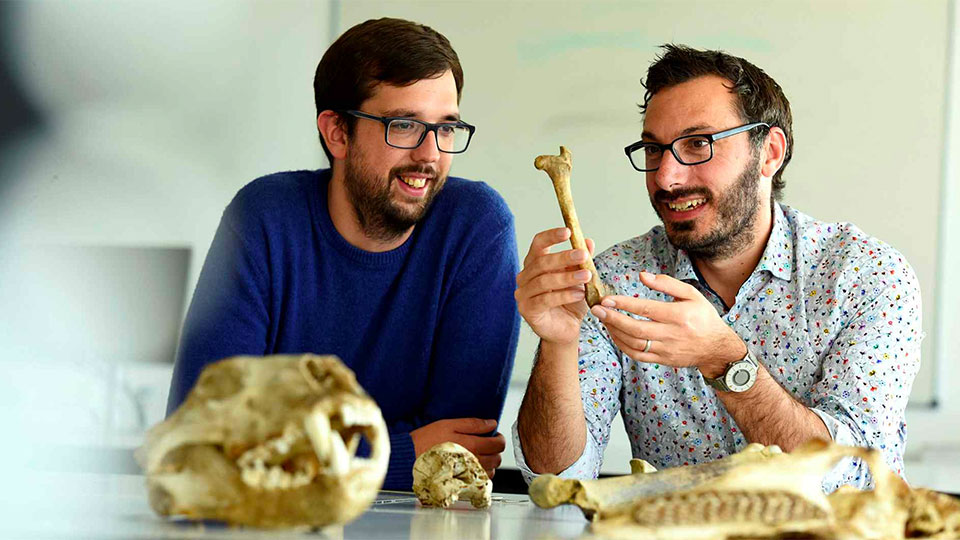 Staff in an archaeological discussion taking ancient bones