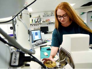 Gender equality award