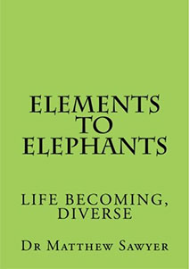 Elements to Elephants 