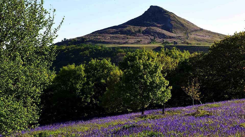 Roseberry Topping