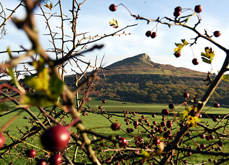 Roseberry Topping