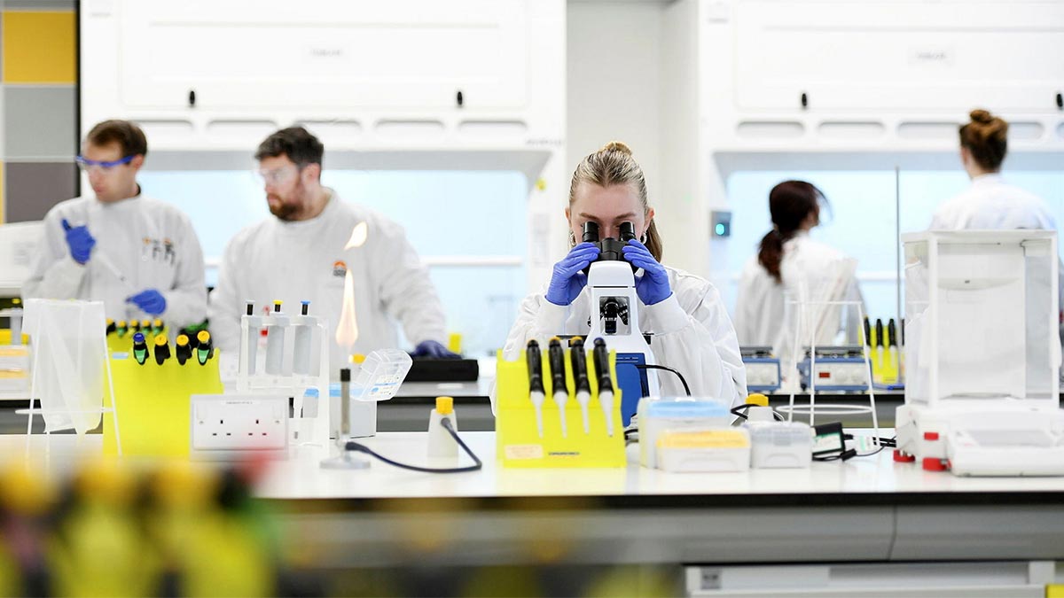 Bioinformatics suite