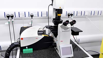 Leica SP8 Confocal Microscope