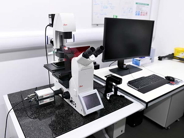 Leica DMi8 Fluorescence Microscope