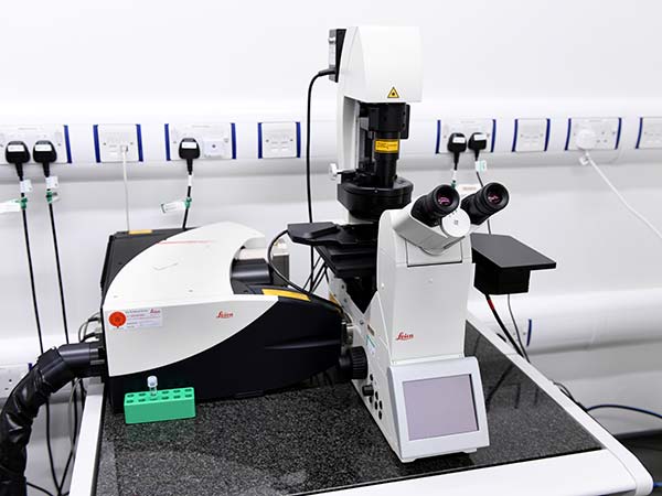 Leica SP8 Confocal Microscope