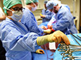 SOHSC ODP Operating Department Practice/ Theatre