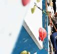 Students climbing on an indoor rock climbing wall at Teesside University
