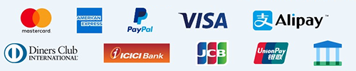 Mastercard, American Express, PayPal, VISA, Alipay, Diners Club International, ICICI Bank, JCB, Union pay