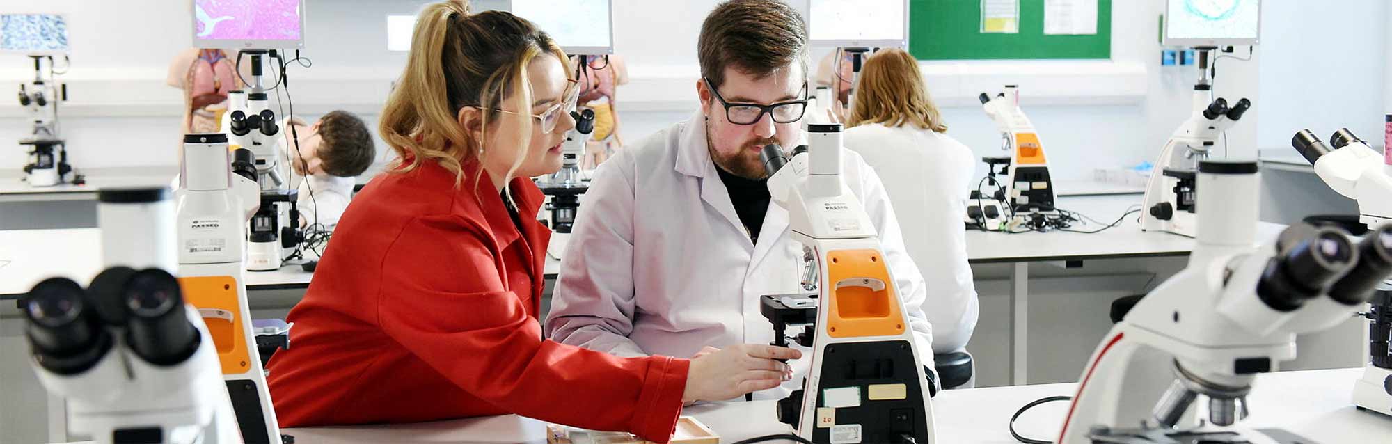 Cancer and Molecular Diagnostics