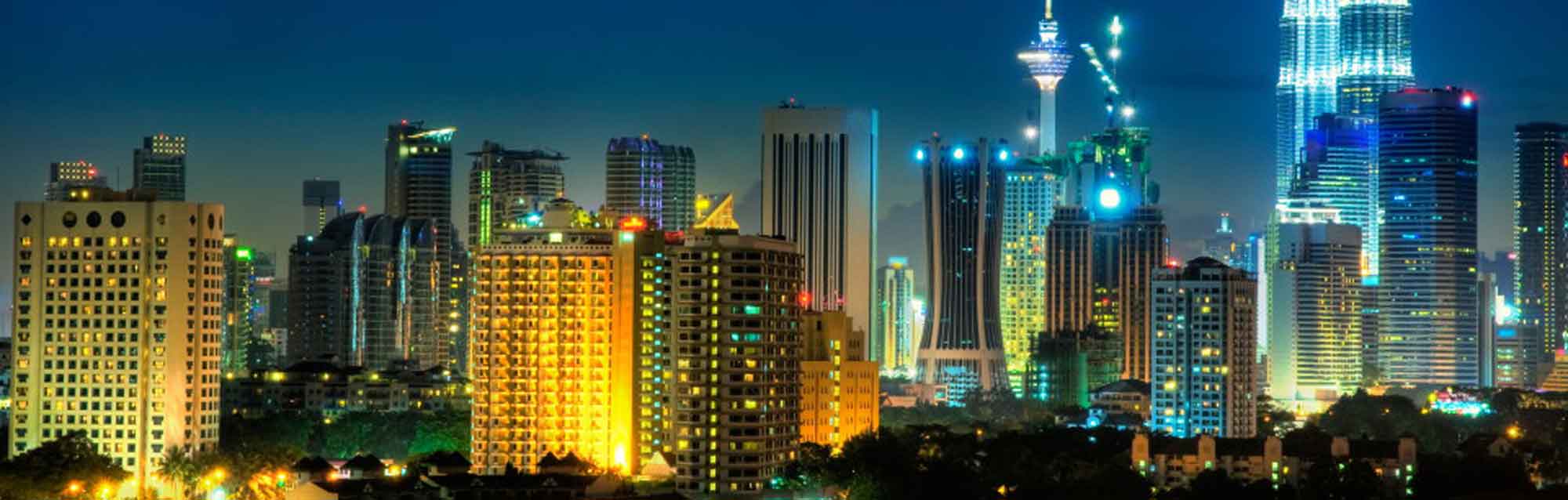 International Digital Trade: Opportunities and Risks (Executive Training)