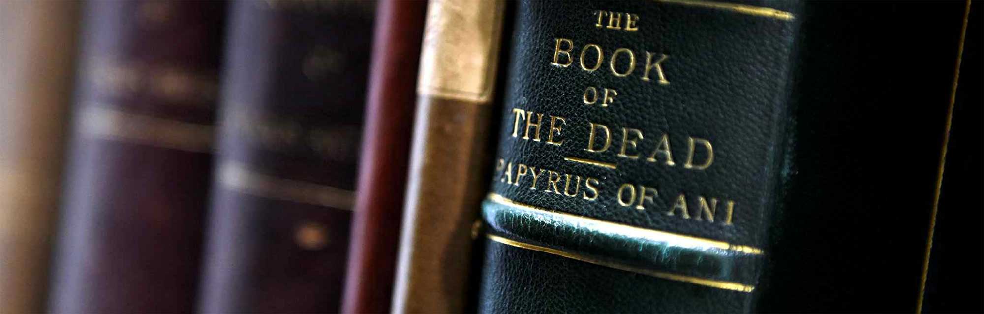 history online course, online history degree, history online