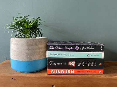 Lesbian Visibility Week. Link to Lesbian Visibility Week – pick up a book .