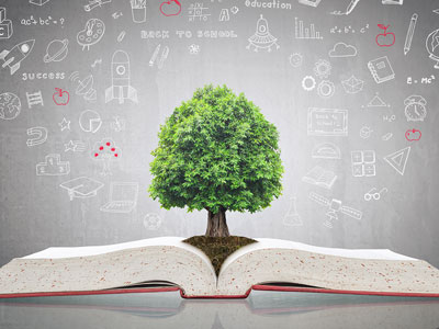 An image of a tree groing from the pages of an open book. Link to Green Library Week  21 - 28 October 2026.