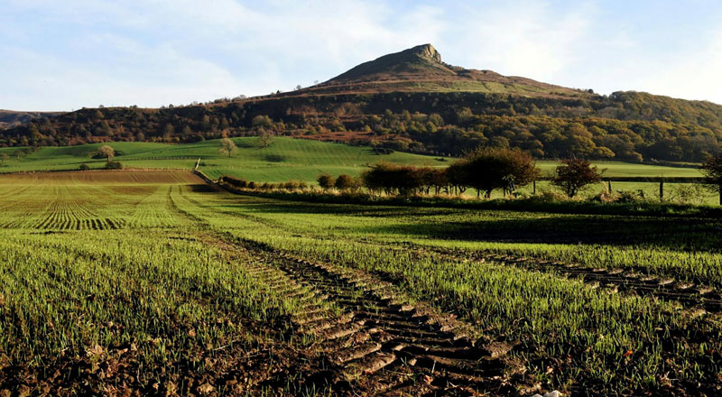 An image of Roseberry Topping