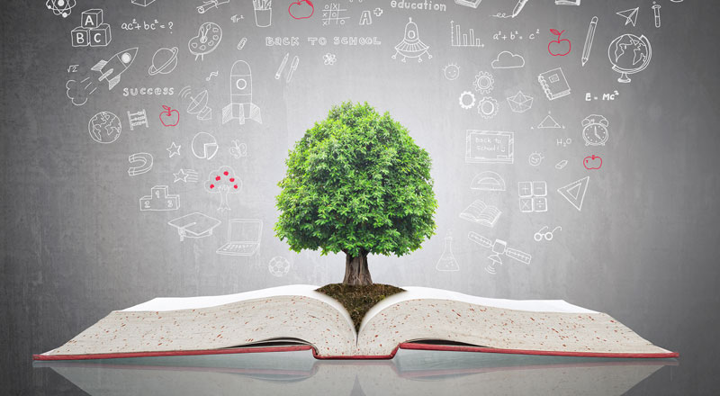 An image of a tree groing from the pages of an open book