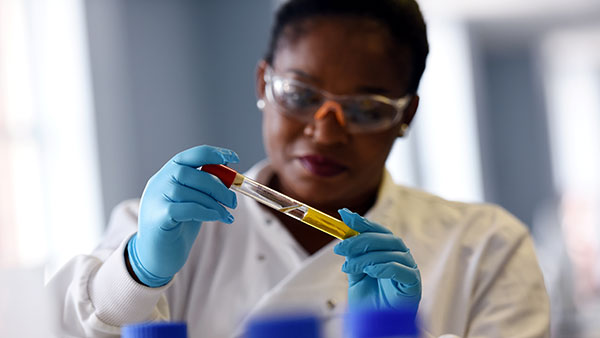Apprentice in a lab examining a test tube