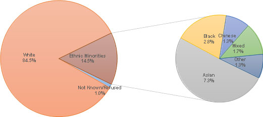 Ethnicity graph